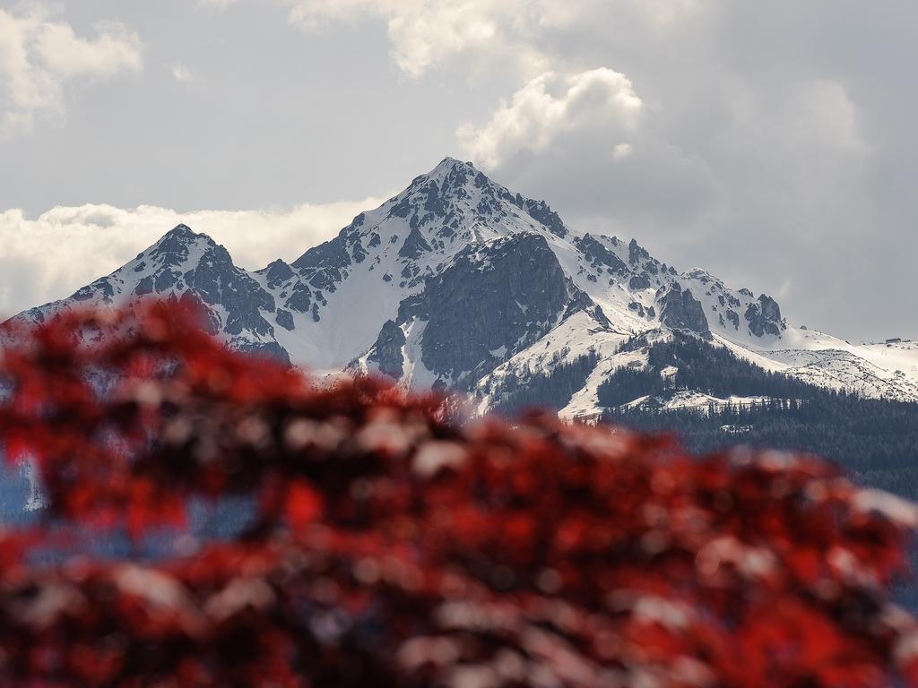 "Innsbruck Moments" Kasperhof Appartements Exteriör bild